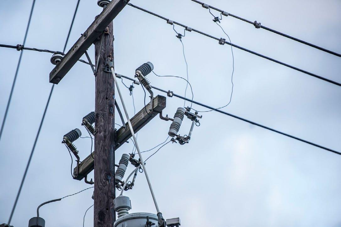Distribution Arrestors