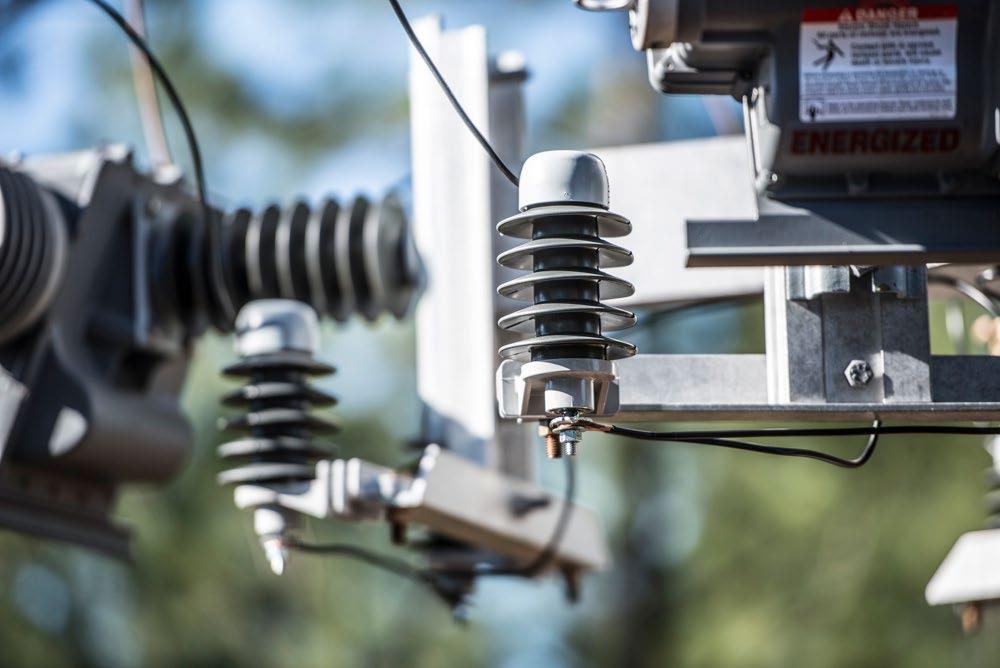 Distribution Arrestors